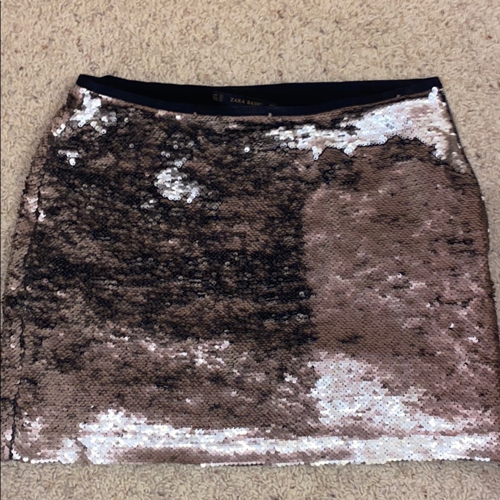 Zara Basic sequence skirt